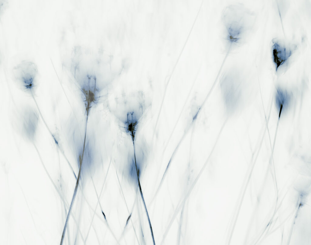 Blue Whispers