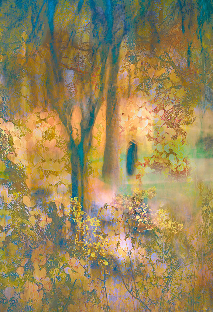 Woman floating in a forest of light and trees